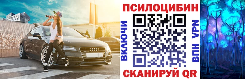 мега онион Санкт-Петербург Псилоцибиновые грибы мицелий