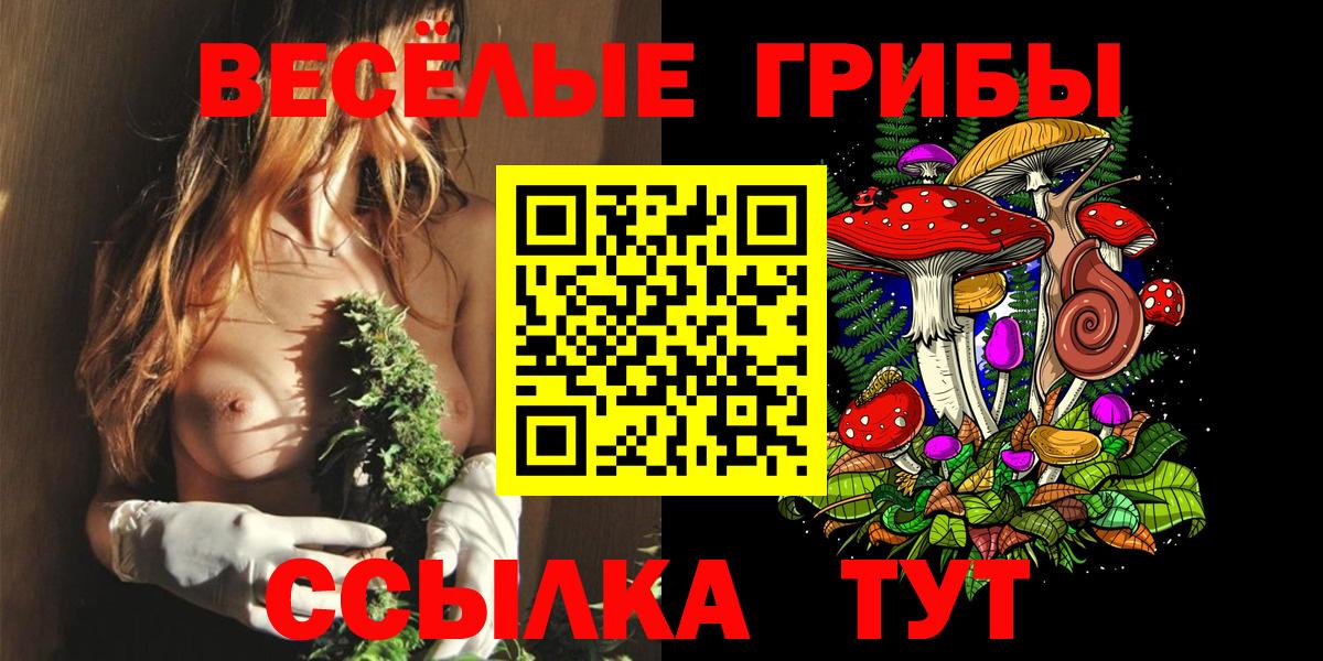 Псилоцибиновые грибы мухоморы Санкт-Петербург