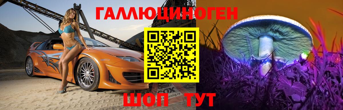 Галлюциногенные грибы MAGIC MUSHROOMS  Вход с VPN  Санкт-Петербург 